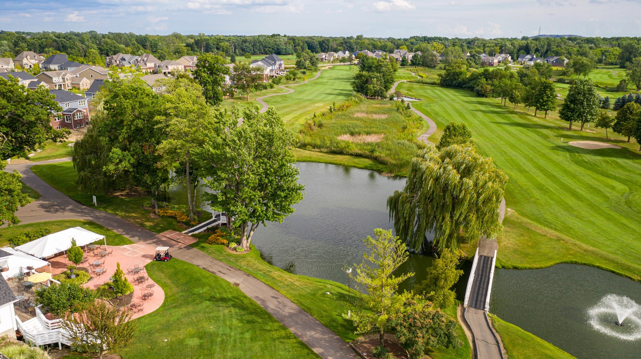 Tanglewood South Lyon aerial overview - 9